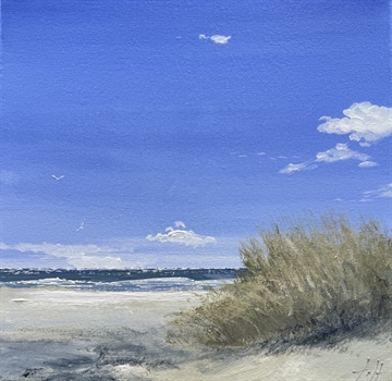 Skagen Sønderstrand - Gitte Toft